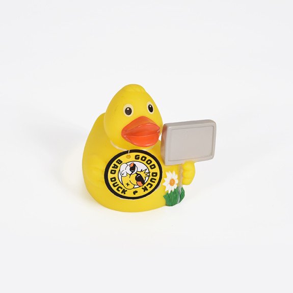 Spring Duck
